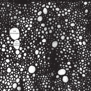 Telescopes - As Light Return in der Gruppe VINYL bei Bengans Skivbutik AB (2433440)