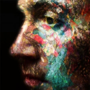 O'sullivan Daniel - Veld in der Gruppe VINYL bei Bengans Skivbutik AB (2433471)