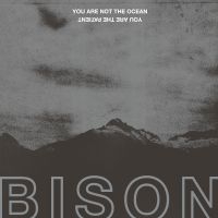 Bison - You Are Not The Ocean You Are The P in der Gruppe VINYL / Rock bei Bengans Skivbutik AB (2437222)