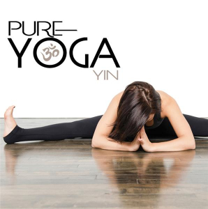 Various Artists - Pure Yoga Yin in der Gruppe CD bei Bengans Skivbutik AB (2443643)