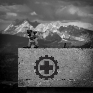 Laibach - Also Sprach Zarathustra in der Gruppe Minishops / Laibach bei Bengans Skivbutik AB (2461930)