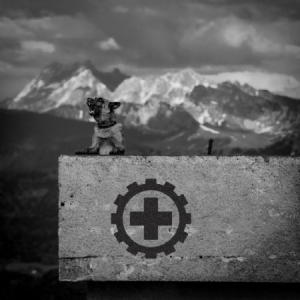 Laibach - Also Sprach Zarathustra in der Gruppe VINYL bei Bengans Skivbutik AB (2461931)