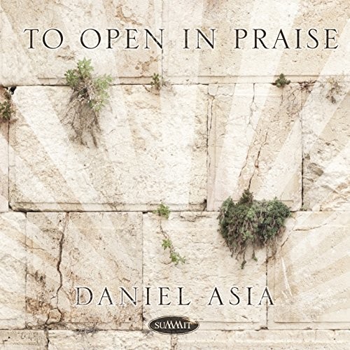 Asia Daniel - To Open In Praise in der Gruppe CD / Pop bei Bengans Skivbutik AB (2478489)
