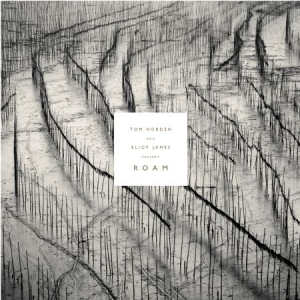 Hobden Tom And Eliot James - Present: Roam in der Gruppe VINYL bei Bengans Skivbutik AB (2478821)