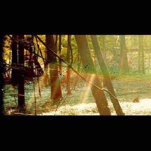 Childish Gambino - Camp in der Gruppe UNSERE TIPPS / Tipps von Bengans Mitarbeitern / Handverlesener Hip-Hop durch die Jahre bei Bengans Skivbutik AB (2486153)