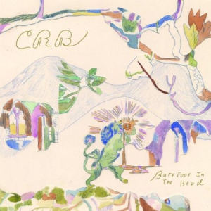 Robinson Chris & Brotherhood - Barefoot In The Head in der Gruppe VINYL bei Bengans Skivbutik AB (2494936)