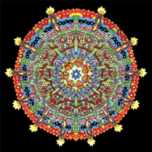 Of Montreal - Hissing Fauna, Are You The Des in der Gruppe VINYL bei Bengans Skivbutik AB (2498932)