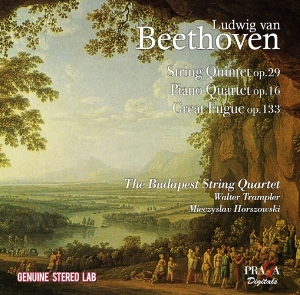 David Zinman - String Quintet Op.29/Piano Qartet Op.16/Great Fugue in der Gruppe CD / Klassiskt,Övrigt bei Bengans Skivbutik AB (2517446)