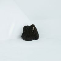 Wolfe Chelsea - Hiss Spun (2 Lp Vinyl) in der Gruppe VINYL bei Bengans Skivbutik AB (2519873)