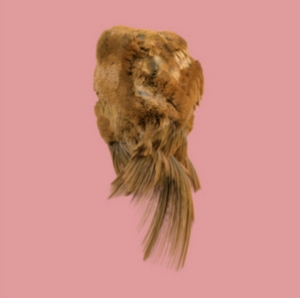 HOLY FAMILY - VALUES in der Gruppe CD bei Bengans Skivbutik AB (2520056)