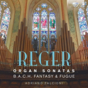 Reger Max - Organ Sonatas in der Gruppe CD bei Bengans Skivbutik AB (2522449)
