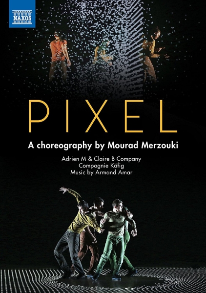 Various - Pixel (Dvd) in der Gruppe Externt_Lager / Naxoslager bei Bengans Skivbutik AB (2527353)