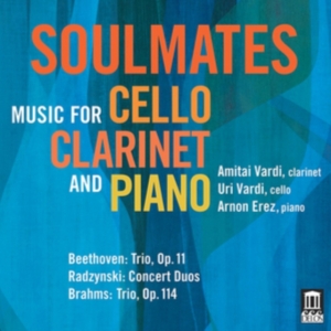 Beethoven Ludwig Van Brahms Joha - Soulmates in der Gruppe CD bei Bengans Skivbutik AB (2527357)