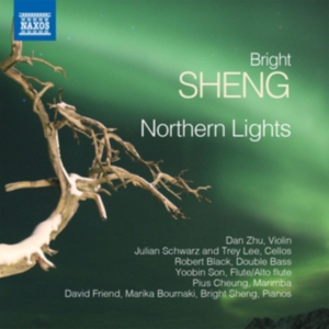 Sheng Bright - Northern Lights in der Gruppe CD bei Bengans Skivbutik AB (2527409)