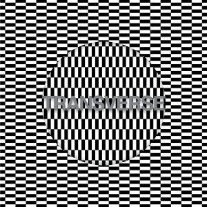 Carter Tutti Void - Transverse in der Gruppe CD bei Bengans Skivbutik AB (2528534)