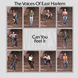 Voices Of East Harlem - Can You Feel It in der Gruppe VINYL bei Bengans Skivbutik AB (2538552)