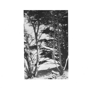 Deitrick Rick - Gentle Wilderness in der Gruppe VINYL bei Bengans Skivbutik AB (2538915)