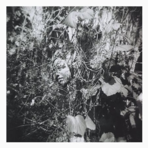 Mislock Tim - Now Is The Last Best Time in der Gruppe CD bei Bengans Skivbutik AB (2538932)