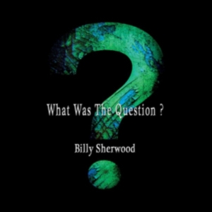 Sherwood Billy - What Was The Question? in der Gruppe CD bei Bengans Skivbutik AB (2542464)