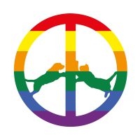 Hype Williams - Rainbow Edition in der Gruppe CD bei Bengans Skivbutik AB (2542704)
