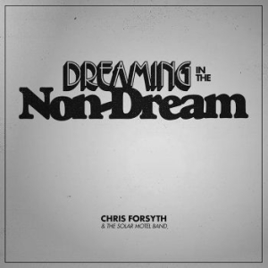 Chris Forsyth & The Solar Motel Ban - Dreaming In The Non-Dream in der Gruppe VINYL bei Bengans Skivbutik AB (2543295)