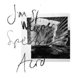 St Werner Jan - Spectric Acid in der Gruppe CD bei Bengans Skivbutik AB (2543508)