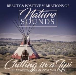 Various Artists - Chilling In A Tipi in der Gruppe CD bei Bengans Skivbutik AB (2545390)