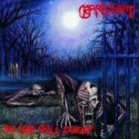 Baphomet - Dead Shall Inherit in der Gruppe VINYL bei Bengans Skivbutik AB (2546319)