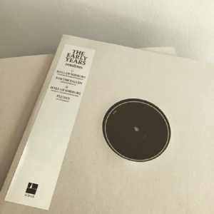 Early Years - Remiixes in der Gruppe VINYL bei Bengans Skivbutik AB (2546803)