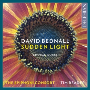 Bednall David - Sudden Light in der Gruppe CD bei Bengans Skivbutik AB (2547854)