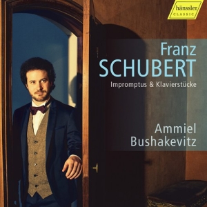 Schubert Franz - Impromptus & Klavierstücke in der Gruppe CD bei Bengans Skivbutik AB (2548271)