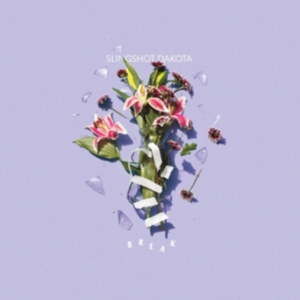 Slingshot Dakota - Break in der Gruppe CD bei Bengans Skivbutik AB (2548905)