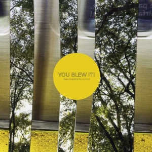 You Blew It! - Keep Doing What You're Doing in der Gruppe VINYL bei Bengans Skivbutik AB (2548944)