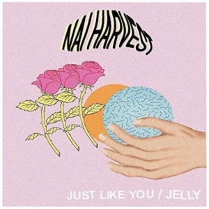 Nai Harvest - Just Like You - in der Gruppe VINYL bei Bengans Skivbutik AB (2549017)