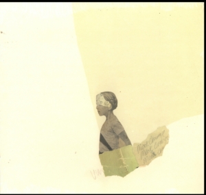 Mock Orange - Put The Kid On The Sleeping Horse in der Gruppe VINYL bei Bengans Skivbutik AB (2549021)