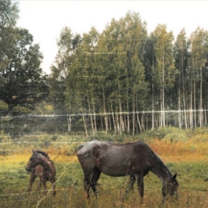 Pianos Become The Teeth - Old Pride in der Gruppe CD bei Bengans Skivbutik AB (2549074)