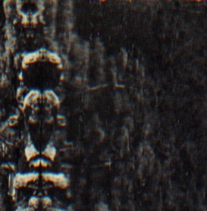 O Morto - Forest, The People And The Spirit in der Gruppe VINYL bei Bengans Skivbutik AB (2551730)