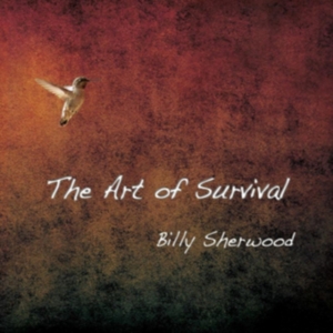 Sherwood Billy - Art Of Survival in der Gruppe CD / Pop-Rock bei Bengans Skivbutik AB (2551733)