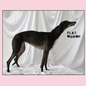 Flat Worms - Flat Worms in der Gruppe CD bei Bengans Skivbutik AB (2553196)