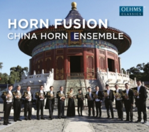 Various - Horn Fusion in der Gruppe CD bei Bengans Skivbutik AB (2556733)