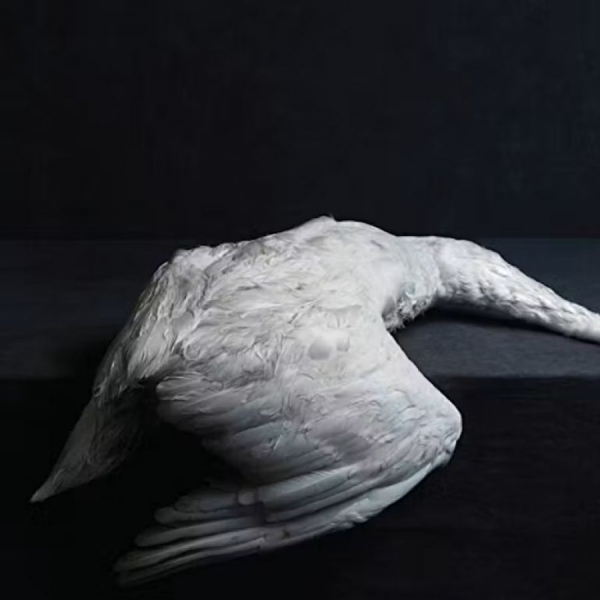 Amenra - Mass Vi in der Gruppe CD / Bestseller bei Bengans Skivbutik AB (2557253)
