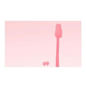 Pinkcourtesyphone - A Ravishment Of Mirror (White Vinyl in der Gruppe VINYL bei Bengans Skivbutik AB (2557311)
