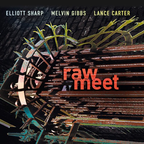 Elliott Sharp Melvin Gibbs Lance - Raw Meet in der Gruppe CD / Jazz/Blues bei Bengans Skivbutik AB (2557352)
