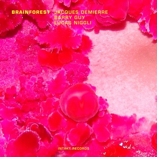 Jacques Demierre Barry Guy Lucas - Brainforest in der Gruppe CD / Bestseller bei Bengans Skivbutik AB (2557367)