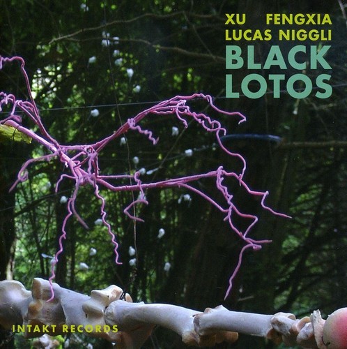 Xu Fengxia - Lucas Niggli - Black Lotos in der Gruppe CD / Jazz/Blues bei Bengans Skivbutik AB (2557418)