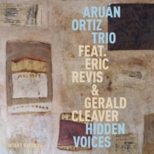 Aruán Ortiz Trio - Hidden Voices in der Gruppe CD bei Bengans Skivbutik AB (2557508)
