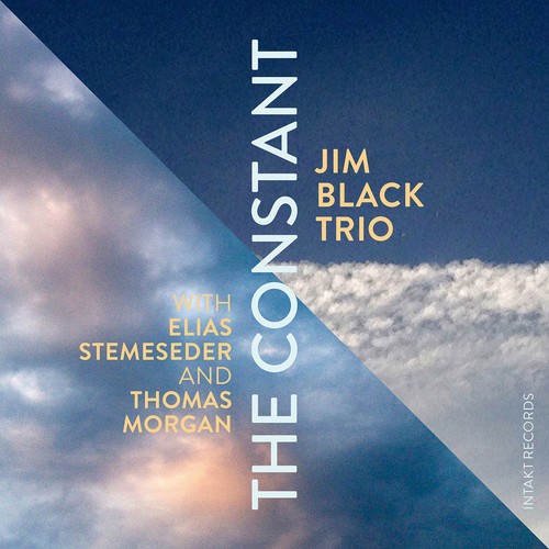 Jim Black Trio - The Constant in der Gruppe CD / Jazz/Blues bei Bengans Skivbutik AB (2557518)
