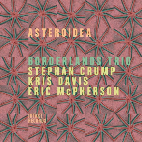 Borderlands Trio - Asteroidea in der Gruppe CD / Jazz/Blues bei Bengans Skivbutik AB (2557543)