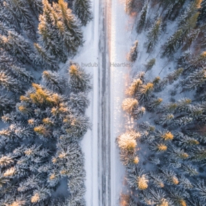 BVDUB - HEARTLESS in der Gruppe CD bei Bengans Skivbutik AB (2560265)