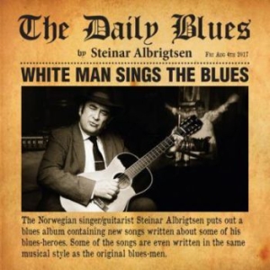 Albrigtsen Steinar - Daily Blues in der Gruppe VINYL bei Bengans Skivbutik AB (2560316)